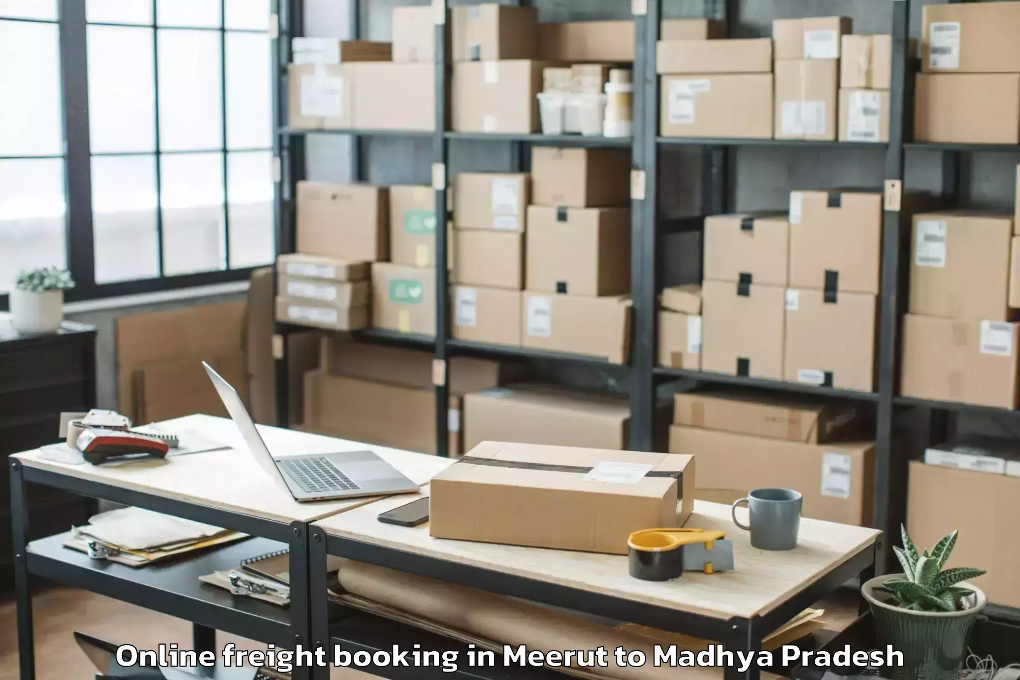 Reliable Meerut to Mauganj Online Freight Booking